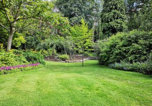 Optimiser l'expérience du jardin à Villers-la-Faye